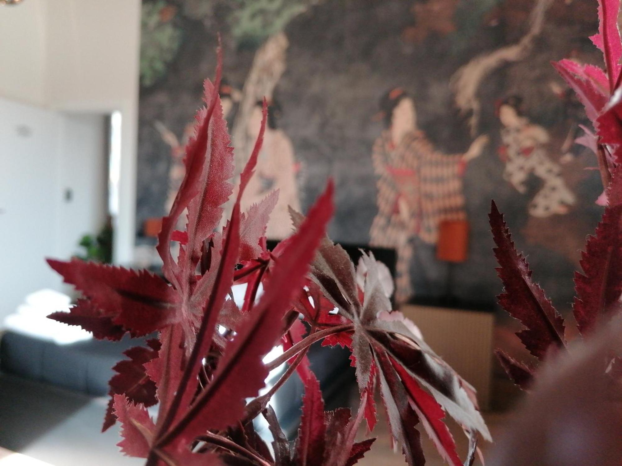 Le Boutique Luxury Rooms Diffused In Historic Center Fiumicino Luaran gambar